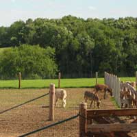 Teenagers Hangin' Out