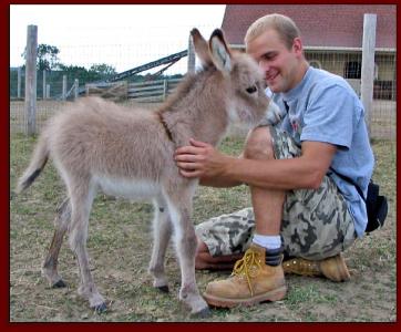 Click photo to enlarge image