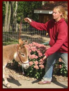 Click photo to enlarge image